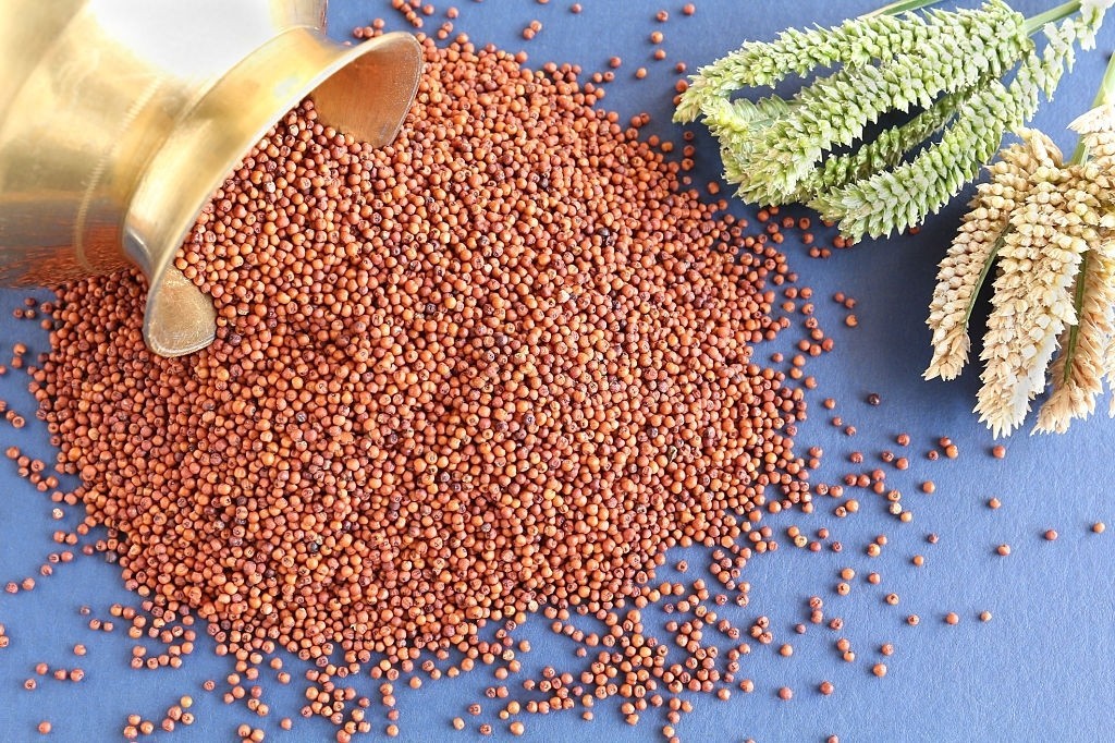The Superfood Ragi to boost your Immunity - www.farmdidi.com