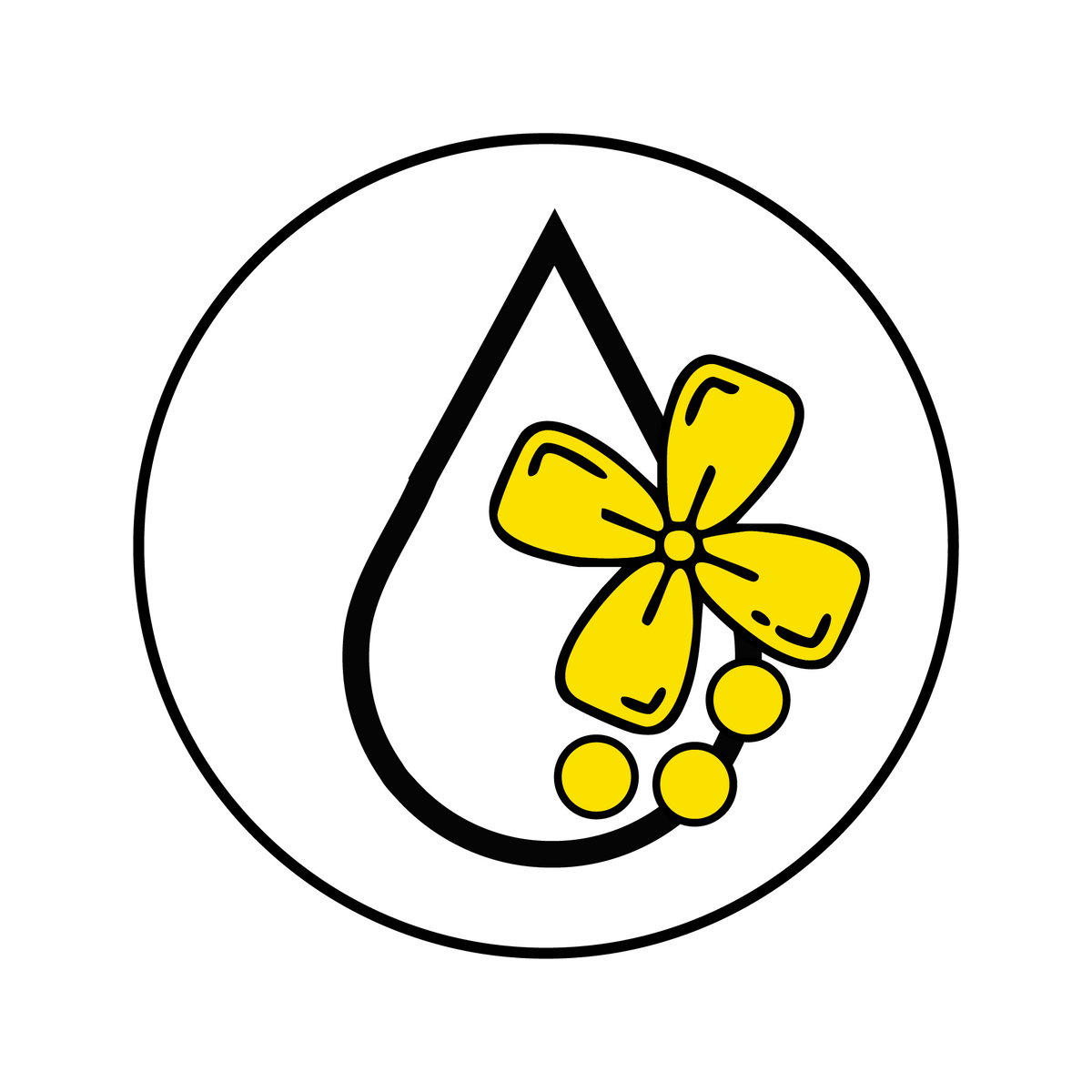 Shop Our Extensive Collection of Chutneys