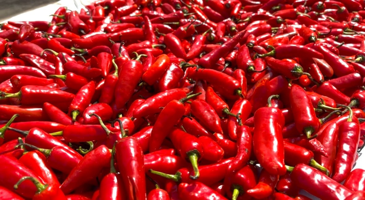 Banarasi Red Chilli: History, Spice & Iconic Red Chilli Pickle