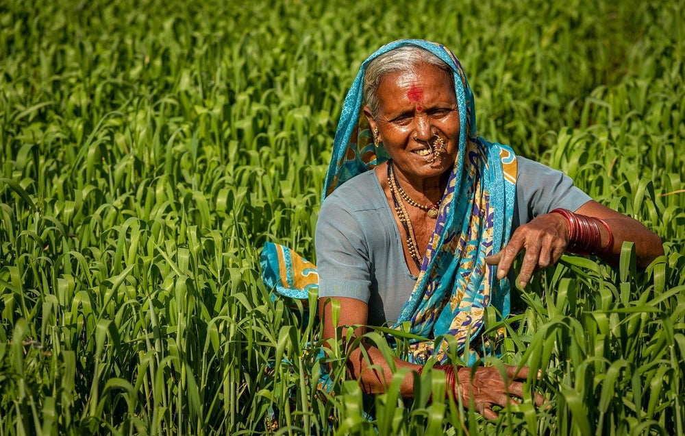 Role of women in driving rural economy