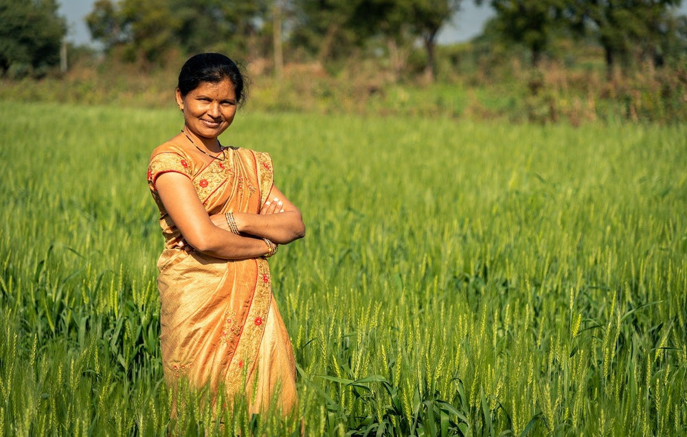 Inspiration behind FarmDidi