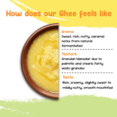Desi ghee in a clay bowl with notes on its aroma, granular texture and taste