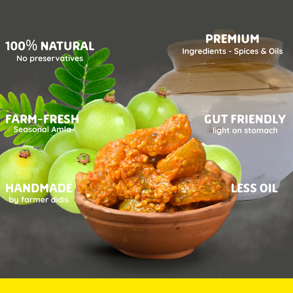 
                  
                    Amla pickle | Amla ka achar | Tangy & spicy
                  
                