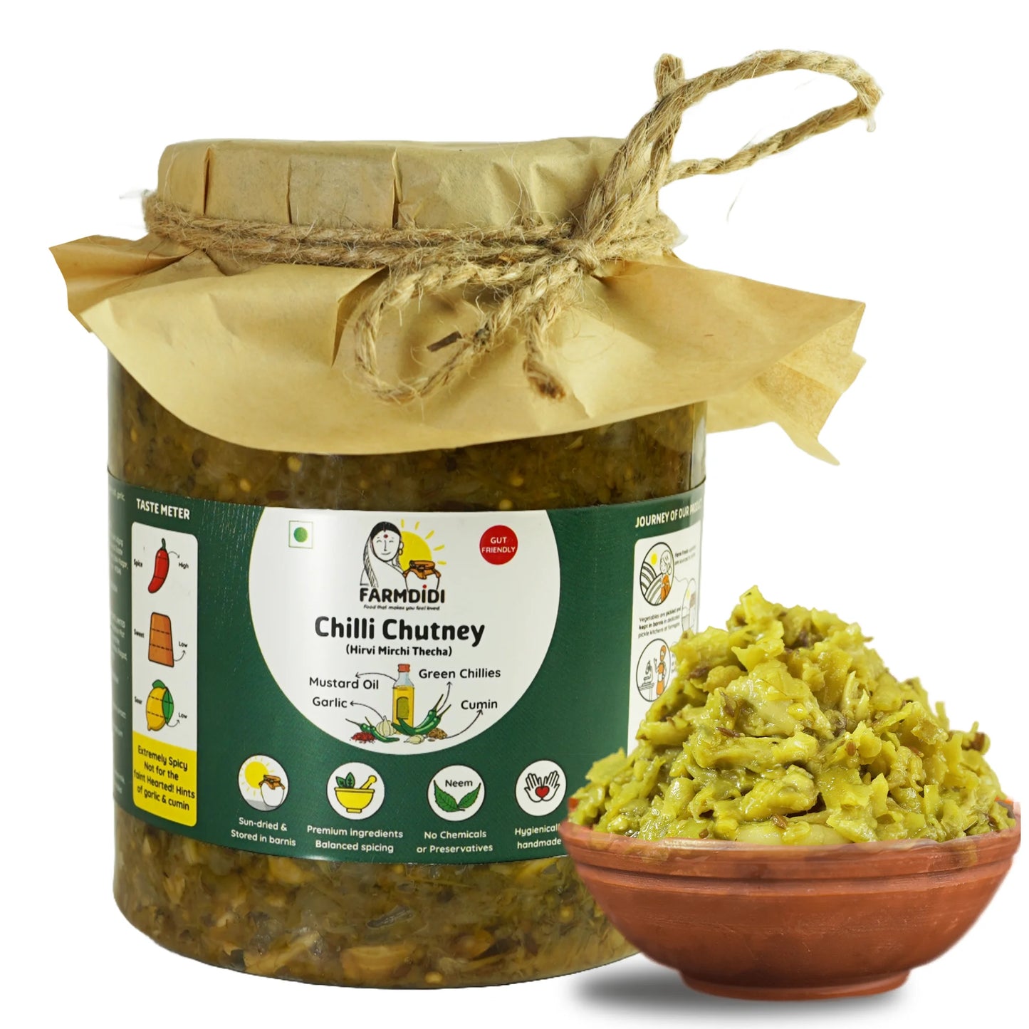 Green chili sauce, Hari Mirch ki chutney, Indian sauce, Farmdidi