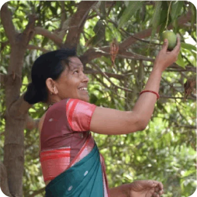  Selection of Ingredients