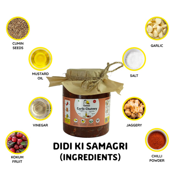 Garlic chutney, Lehsun ki chutney, Indian chutney, Farmdidi